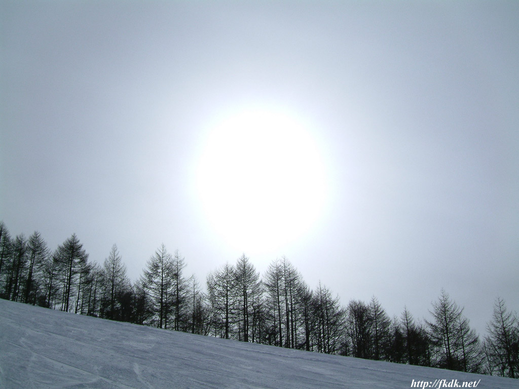 太陽と雪景色 風景写真無料壁紙