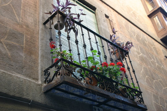 トレド　窓の花